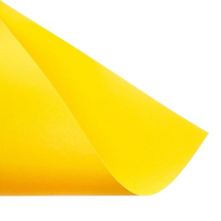 Color paper A5, 10 sheets, 10 colors "crocodile", offset 65 g/m2, magical (gold+silver), bilateral, in the folder-3