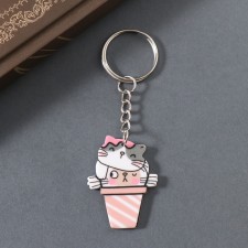 Acryl keychain 