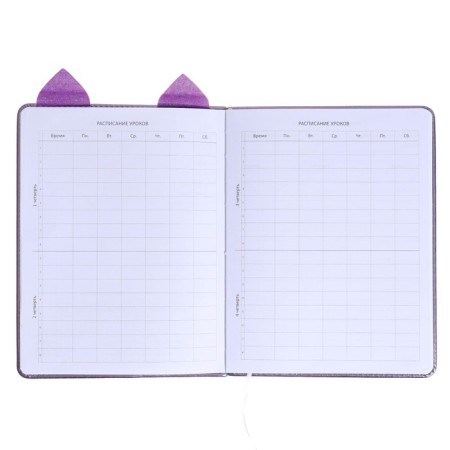 Universal diary for grade 1-11 Cat’s Eyes, hard cover, artificial leather, foam rubber, liesse, 80 g/m2-4