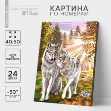 Picture on numbers on a canvas with a subframe 