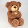 Soft toy "Bear", with a teddy bear, 65 cm, brown color