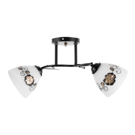Chandelier "Arya" 2he27 40W black 47x26 cm-3