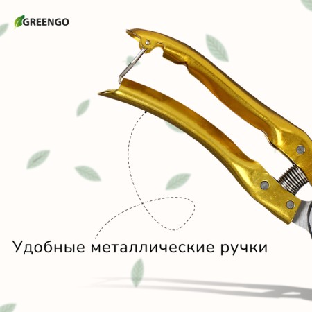 Planning coater, 8 "(20 cm), with metal handles, with a spare spring, Greengo-7