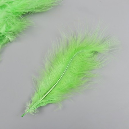 A set of decorative feathers "needlework", 20 pcs (lime color), pen length 13-16 cm