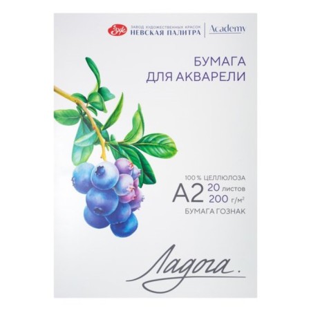 Watercolor paper in the A2 folder, Ladoga, 20 sheets, 200 g/m2, medium -grained, 252781931