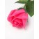 Soap rose fuchsia in a box