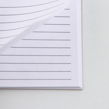 Diary in the thin cover A6, 52 sheets "cat"-2