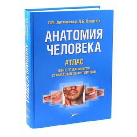 Human anatomy. Atlas for dentists, orthopedic dentists. Litvinenko L.