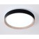 LED ceiling LED with Ambrella Light, Design, FZ1324, LED, 41 W, 3075LUM, 3000-6400K, Black Black, Light Tree