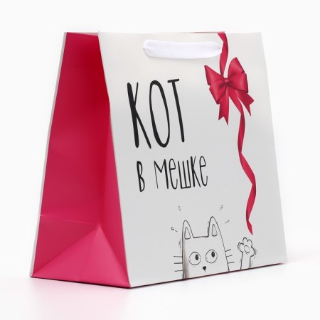 Gift Laminated horizontal package, packaging, “Cat in a bag”, Ml 23 x 27 x 11.5 cm-2