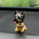 Dog on a car panel shocking his head, German shepherd