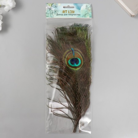 Decorative feather "Peacock" h = 25-30 cm-2