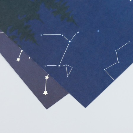 Scrapbooking paper bilateral "constellation" density 180 g 15.5x17 cm-4
