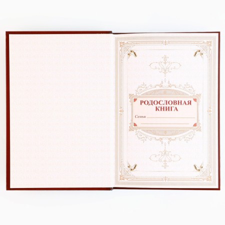 Gift set of a genealogy book in the box "Every day"-10