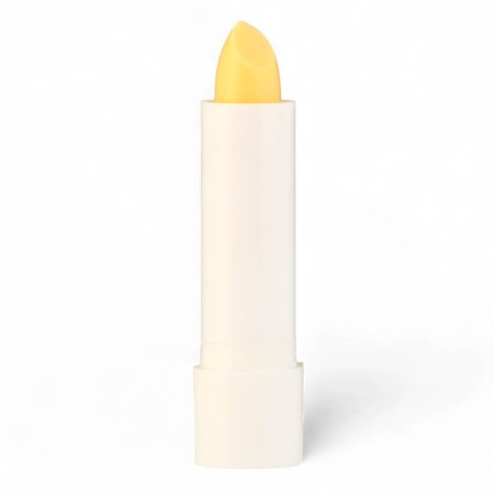 Lip balm Fruit Divine "Coconut", 4.3 g-1