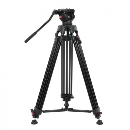 Greenbean Videomaster 309MS DISPECTION