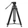 Greenbean Videomaster 309MS DISPECTION