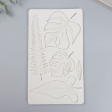 Mold Silicon 