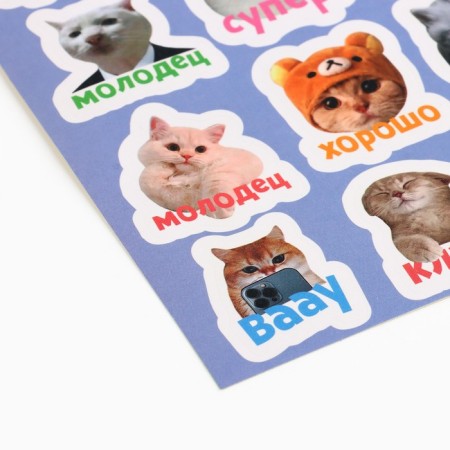 Paper stickers of the rating "Cats", 11 x 18 cm-1