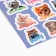 Paper stickers of the rating "Cats", 11 x 18 cm