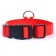 Collar with backlight size XL, Osh 52-60 x 2.5 cm, 3 glow modes red
