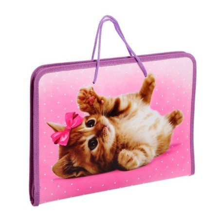 A4 labor folder with handles, 325 x 230 x 25 mm, zipper around, folding bar, plastic, PTR-6 calligrata "Sweetheart"-4