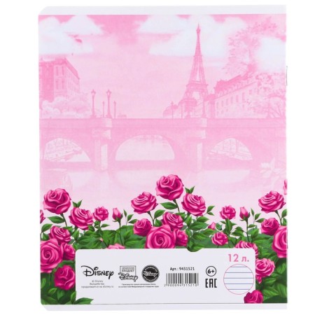 Notebook in a ruler of 12 sheets, 5 types of mix, cover coated cardboard, cats aristocrats-12