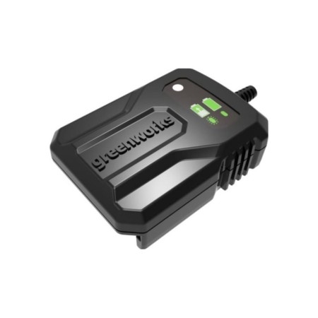 Charger GreenWorks G40UC2M, Slider, 40 V, 2 - 4 A-4