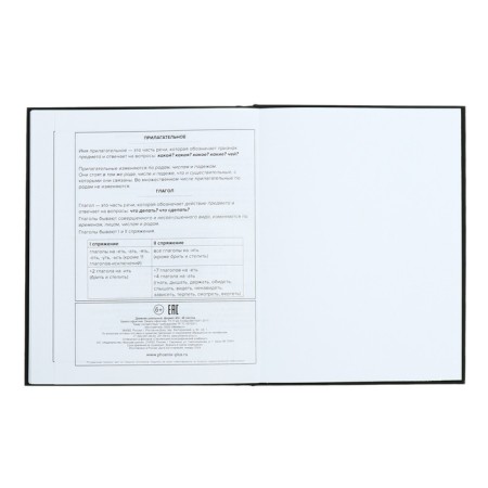 Universal Diary Grade 1-11, 48 raccoon sheets, solid cover, foil embossing, glossy lamination, universal cheat sheet, block 65 g/m2-12