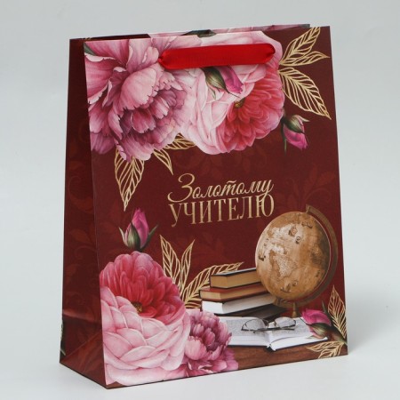 Gift Package Laminated, packaging, Golden Teacher, ML 21 x 25 x 8 cm-2