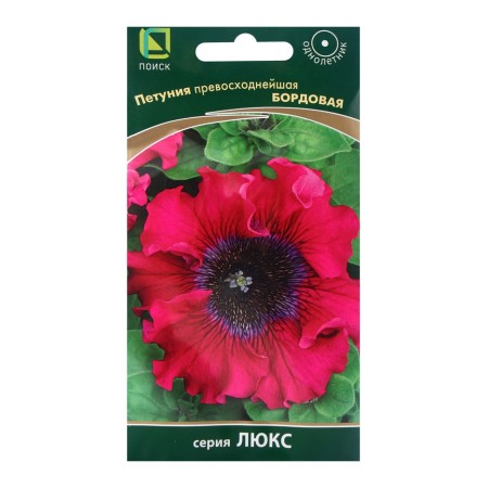 Petunia flowers excellent burgundy, 10pcs