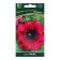 Petunia flowers excellent burgundy, 10pcs