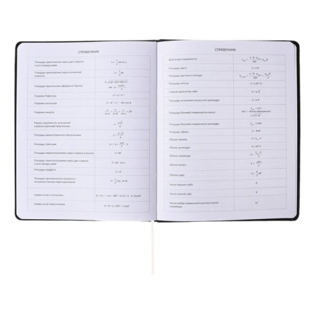 Universal diary for grade 1-11 Morning, integral cover, artificial leather, silkography, liesse, 80 g/m2-8