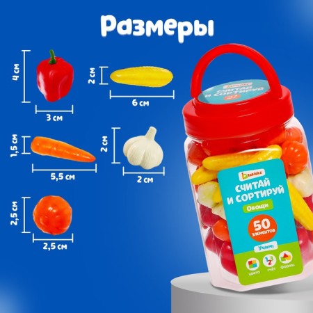 Count and sort the "Vegetables" set-3