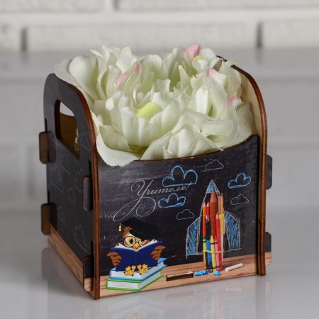 Kashpo wooden 10.5 × 10 × 11 cm Gift Roxy Smith "Teacher. Owl, Cretaceous Board", Box