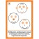 Visual-didactic material to the "Sun" (3-5 years). Debbie Kraer
