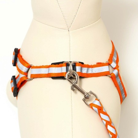 Set "braid", fluorescent, leash 115 x 1 cm, og 32-48 x 1.5 cm, orange-4