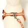 Set "braid", fluorescent, leash 115 x 1 cm, og 32-48 x 1.5 cm, orange