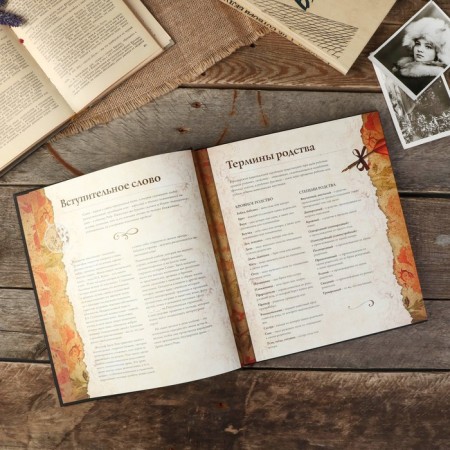 Photo album "Family Tree" Family Tree "132 pages 24.5 x 28 cm-1