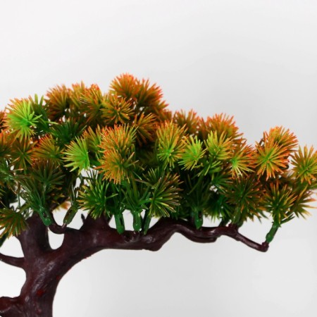 Bonsai in the pot "coniferous tree" 10.5x18 cm mix-1