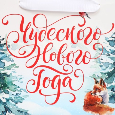 Gift package with a wide bottom "New Year's miracles", 25 x 19 x 18 cm, New Year-4