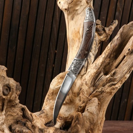 Folding "pike" 21.4cm, blade 92mm/2.6 mm-1