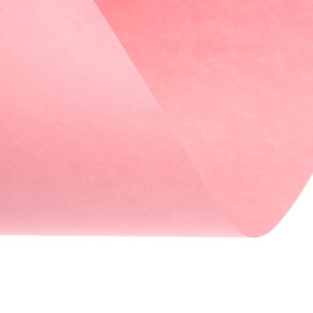 Color paper A4 250l Calligrata Pastel + intensive mix 10 -cv 80g/m2, barn-2