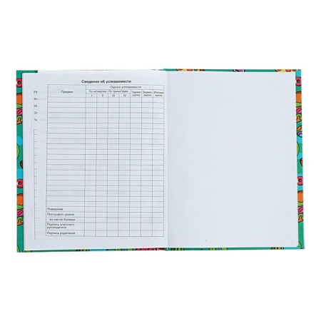 Universal Diary 1-11 grade Patches, 40 sheets, solid cover, glossy lamination, offset block-6