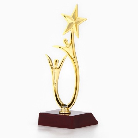 The Cup "Winner in Life", award figure, gold, plastic, 18 x 6 cm.-3