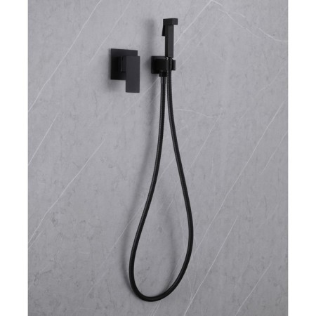 ABBER DAHEIM AF8225B bideter, built -in, with hygienic shower, black-2