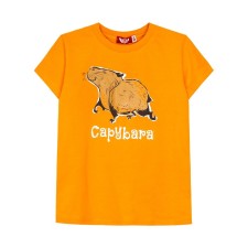 Children's T -shirt, height 110 cm, orange color