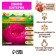 Pion "Cytherea", rr 2/3, 1 pc,