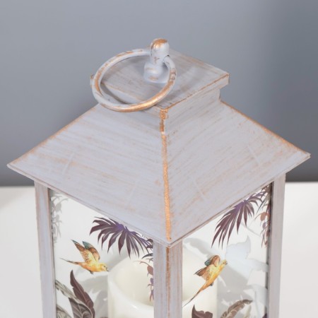 Night Exotes LED from batteries 3HAAA Gray with a golden patina 14x14x29.5 cm Risalux-4
