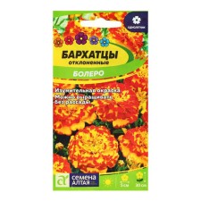 Flower seeds of marigolds 